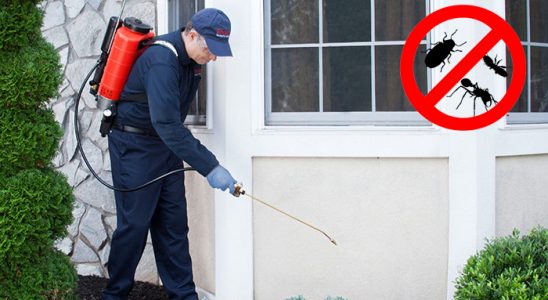 Sultandağı Tahtakurusu İlaçlama böcek ilaçlama ve haşere kontrolü — ilaclama-tr.com